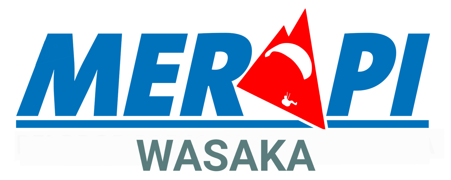 Wasaka Logo